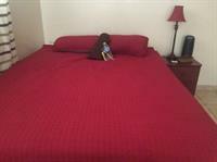 Appartamento Ministay Astoria Steinway